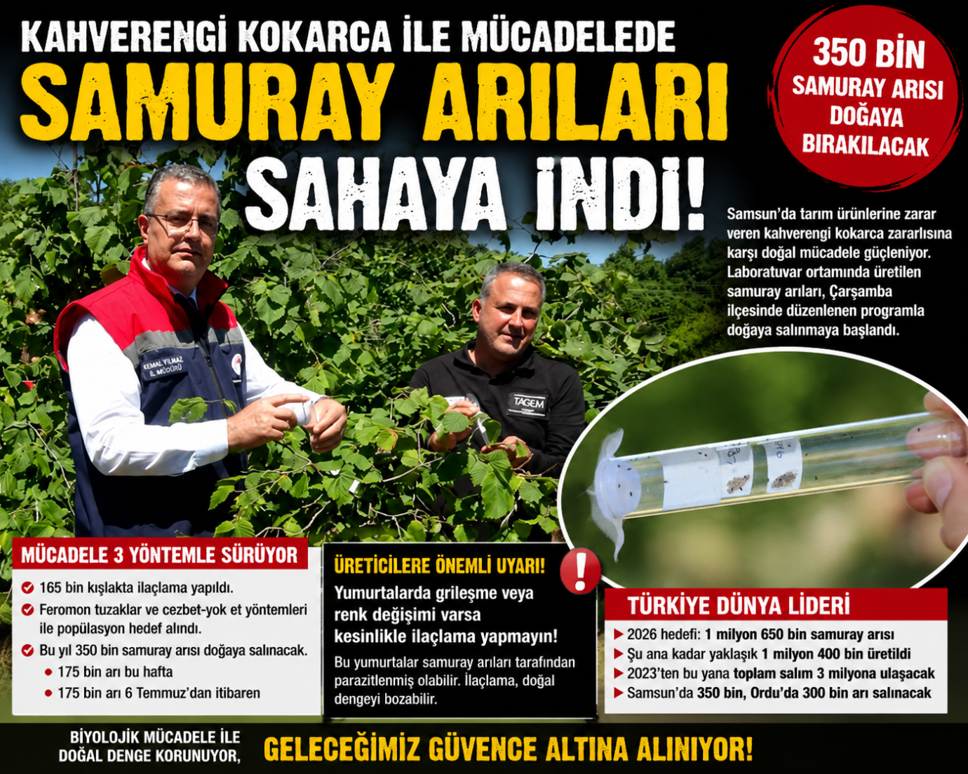 SAMURAY ARILARI KAHVERENGİ KOKARCAYA KARŞI GÖREVE BAŞLADI