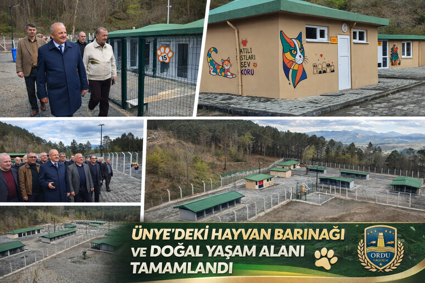 Ünye’de Örnek Barınak ve Doğal Yaşam Alanında Sona Gelindi