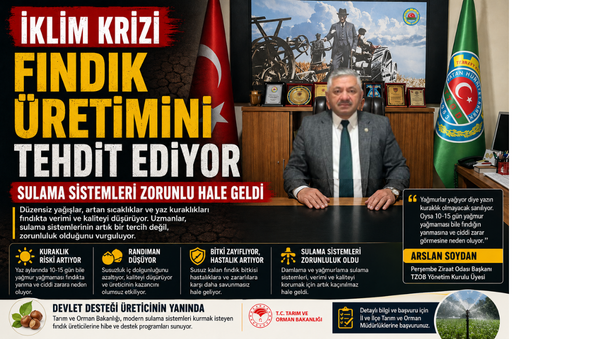 İklim Krizi Fındık Üretimini Tehdit Ediyor: Sulama Sistemleri Artık Zorunluluk Haline Geldi